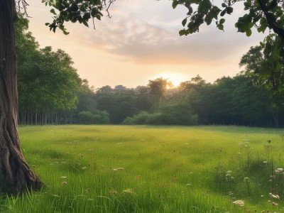 福州空旷场地推荐，福州户外活动场地，福州适合空旷活动的地方